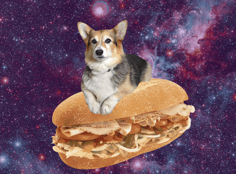 giphy.gif