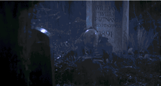 giphy.gif