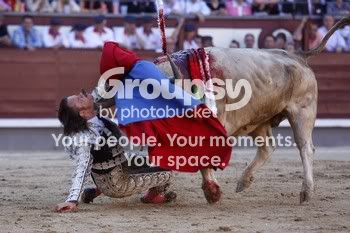 gore02.jpg