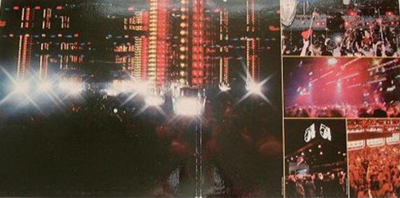 il_570xN.2893064647_dkn9.jpg