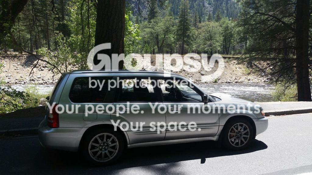 20150527_130258_zpsttomytyp.jpg