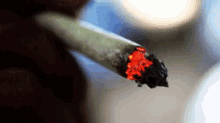 Smoke A Joint GIFs | Tenor