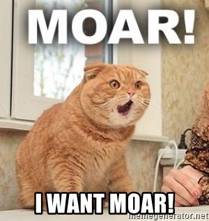 i want moar! - MOAR cat | Meme Generator